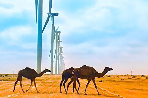 Réhabilitation Réseau Eau Potable